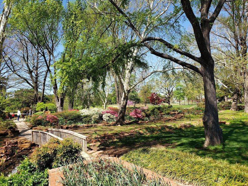 The Arboretum and Its Remarkable Tree Collection