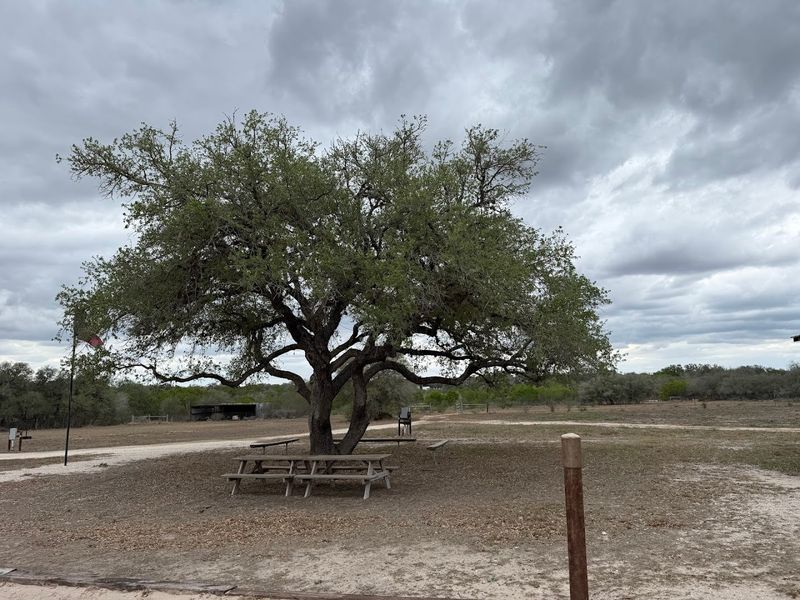The Atmosphere Hits Different Out Here The Atmosphere Hits Different Out Here