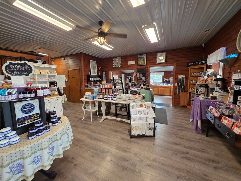 The Award-Winning Lavender Gift Shop Packed With Over 100 Products