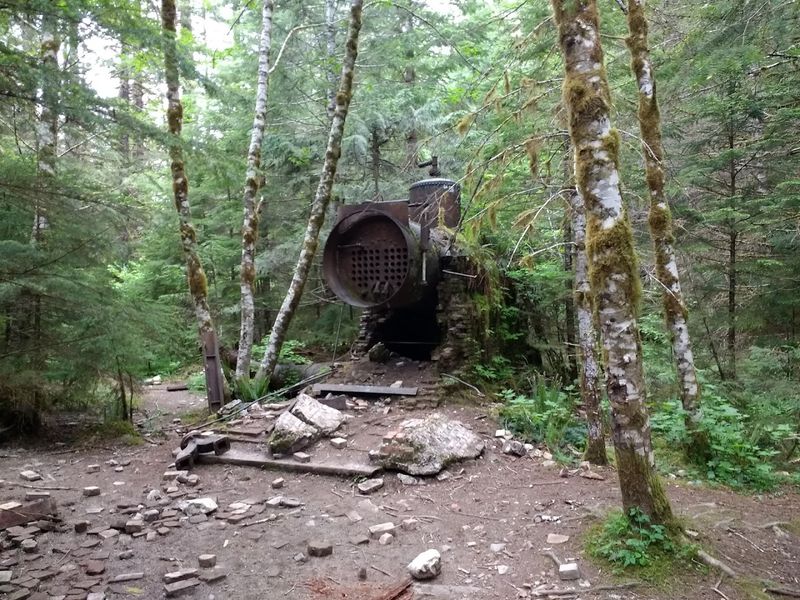 The Battle to Protect Opal Creek From Logging