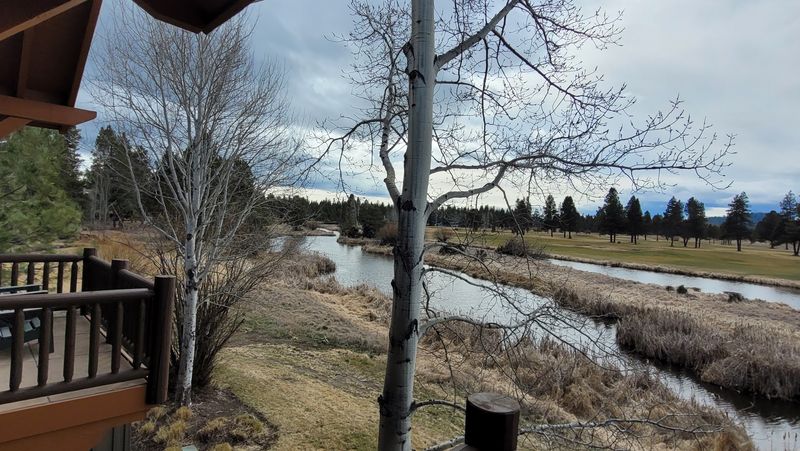 The Beaver Pond and What It Adds to the Experience