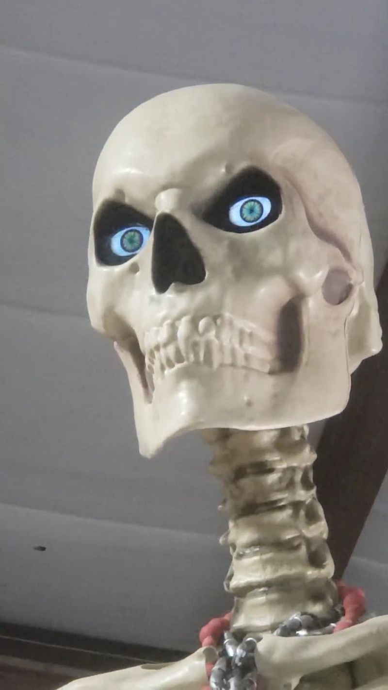 The Best Finds Tend To Be The Strangest Ones The Best Finds Tend To Be The Strangest Ones