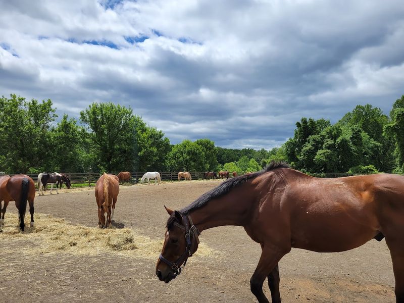 The Best Way to Experience the Reservation on Horseback The Best Way to Experience the Reservation on Horseback