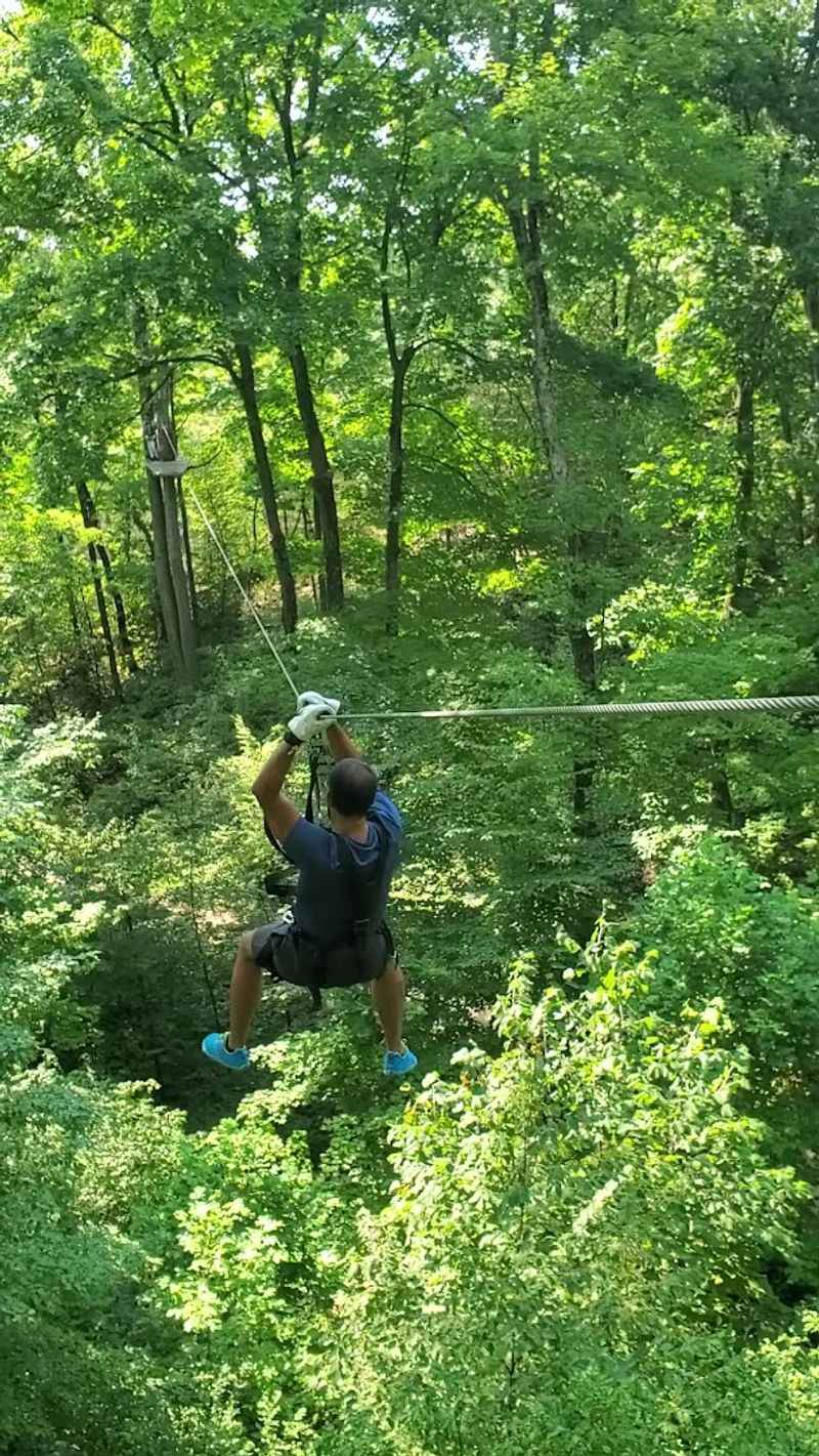 The Black Creek Flyer Zip Line Course