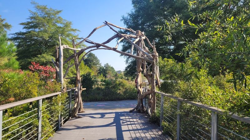 The Blockston Branch Path and Its Accessible Bottomland Forest The Blockston Branch Path and Its Accessible Bottomland Forest