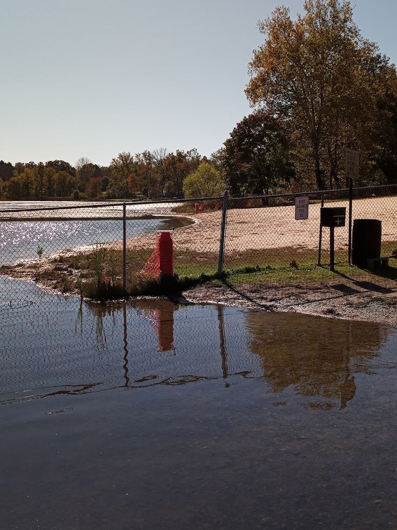 The Blue-Green Algae Problem Explained