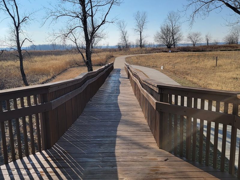 The Boardwalk Pulls You Into The Marsh The Boardwalk Pulls You Into The Marsh