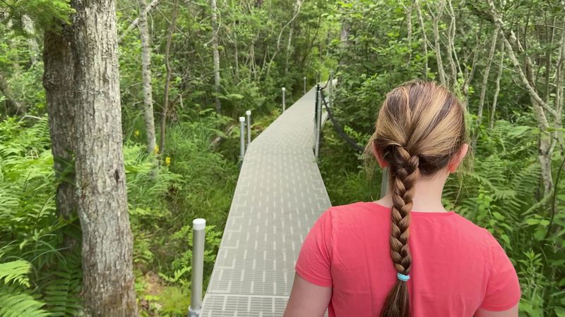 The Boardwalk That Makes the Whole Experience Possible The Boardwalk That Makes the Whole Experience Possible