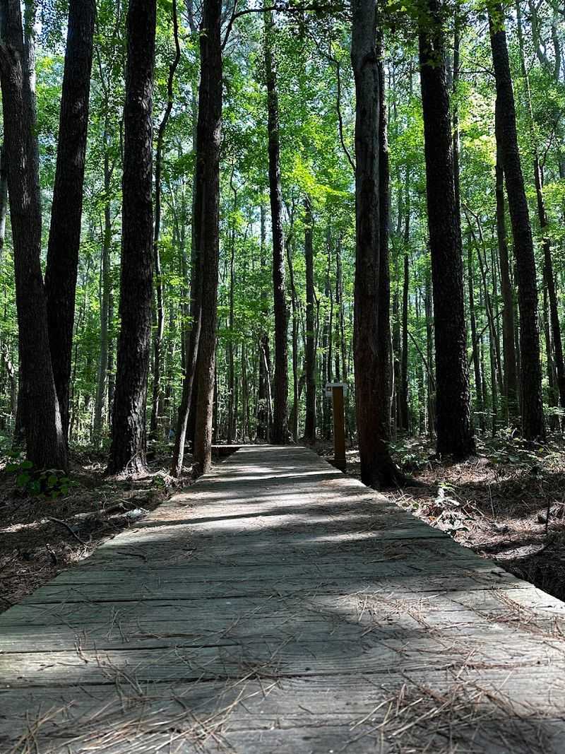 The Boardwalk That Starts It All
