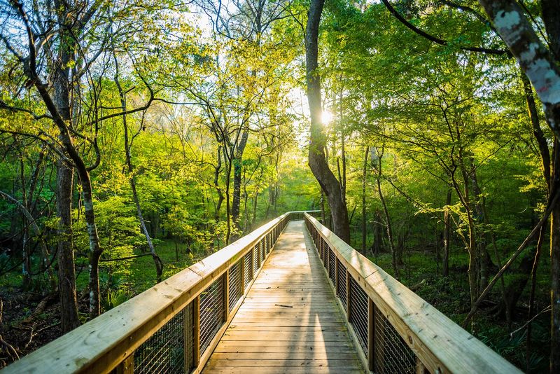 The Boardwalks Let You Slow Down