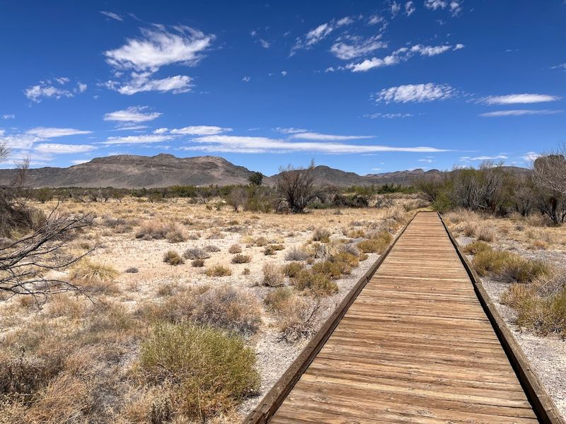 The Boardwalks and Trails Worth Every Step
