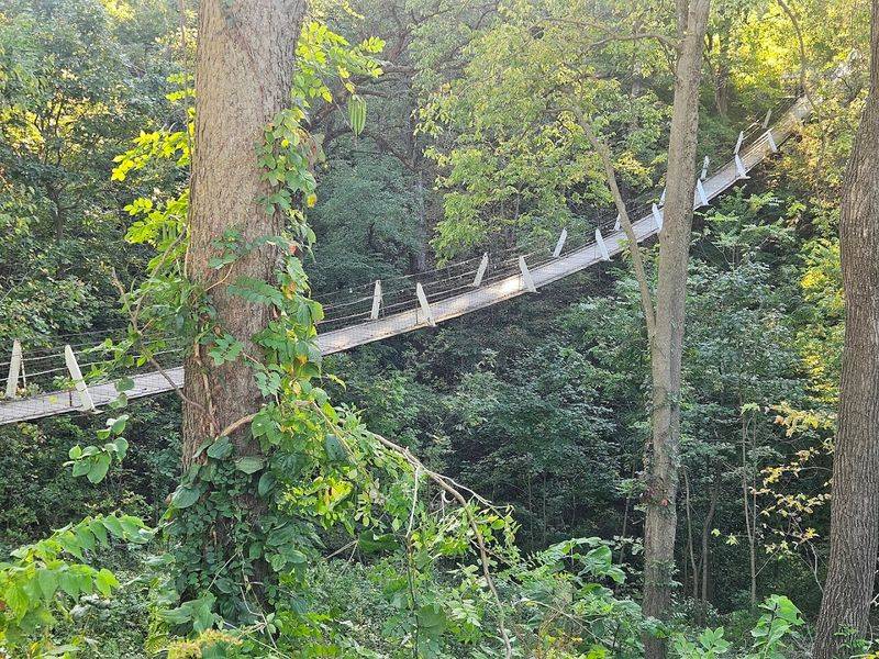 The Bridge That Has Survived Everything