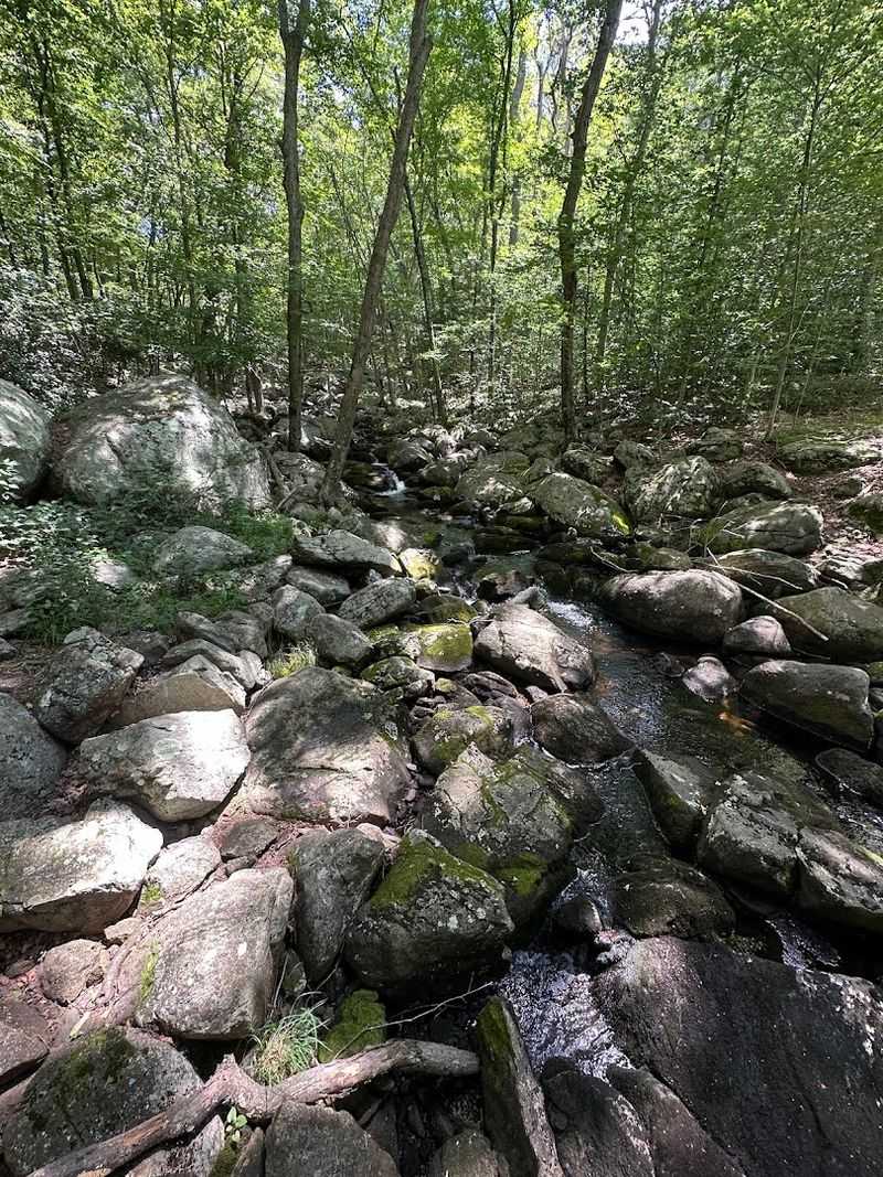 The Bridges, the Brook, and a Small Counting Surprise