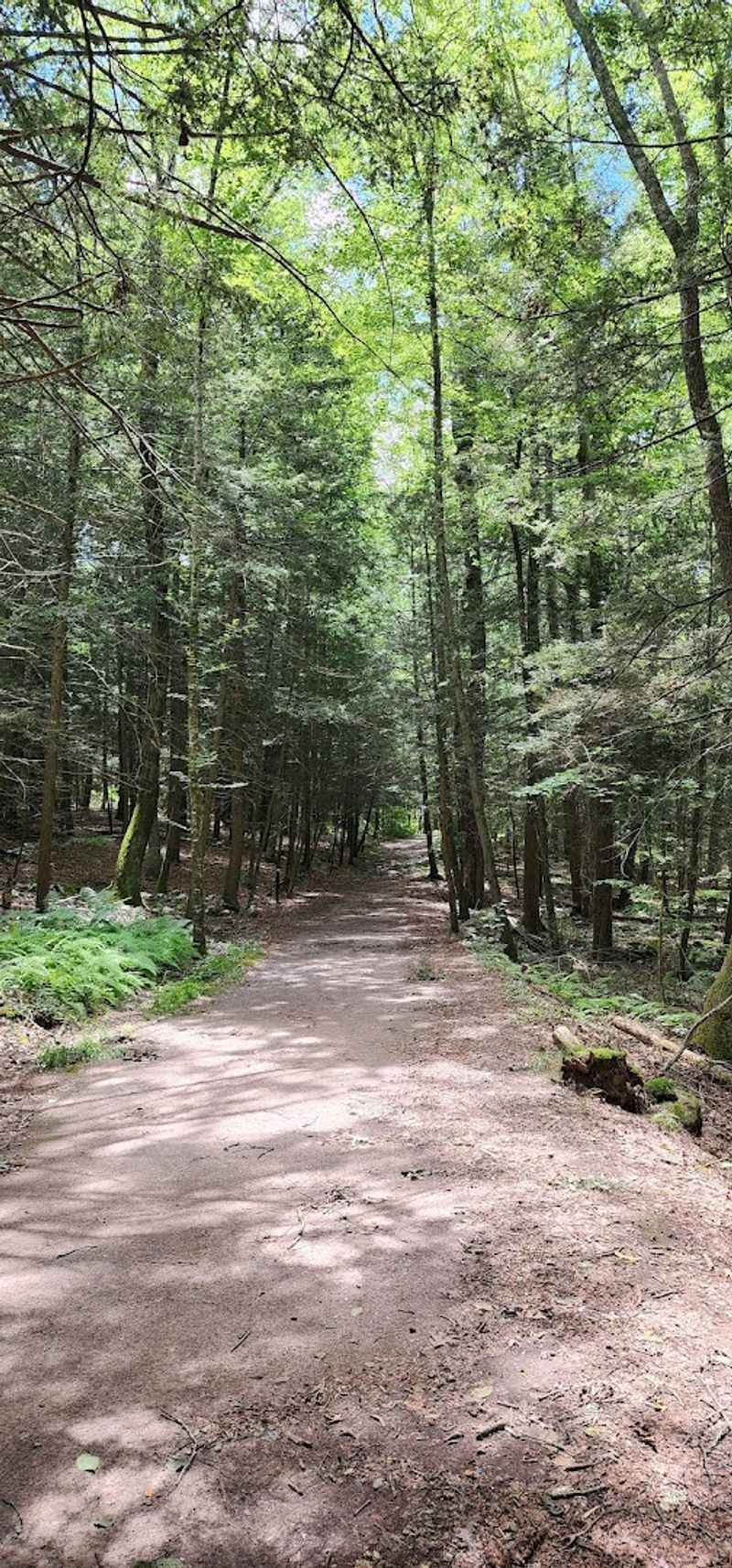 The Brown Stony Brook Trail and Why It Earns Its Easy Rating The Brown Stony Brook Trail and Why It Earns Its Easy Rating