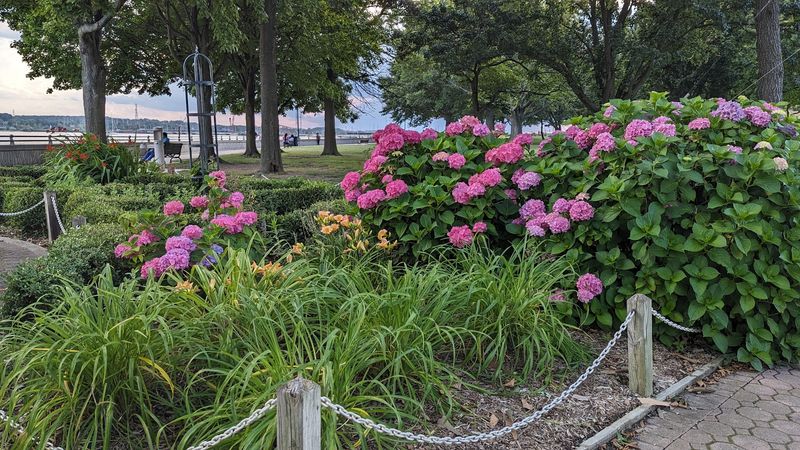 The Butterfly Garden Right Across the Path Doubles Your Experience