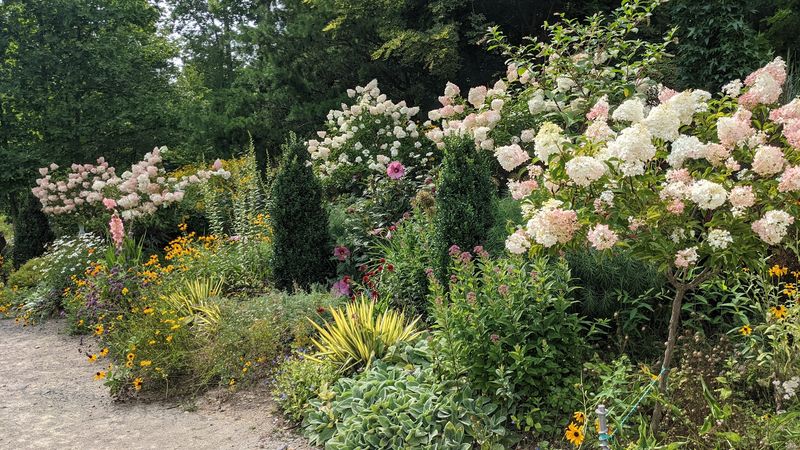 The Butterfly Garden and the Life That Fills It