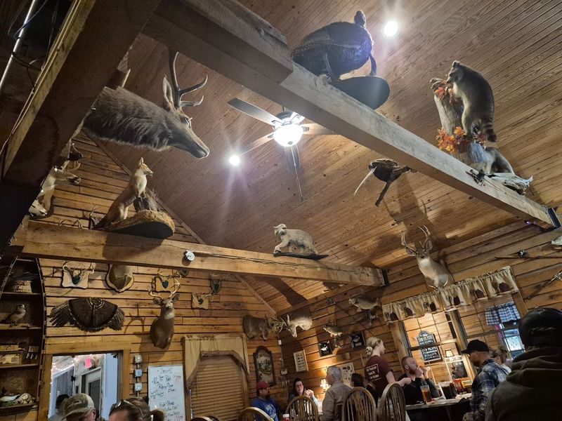 The Cabin Atmosphere Feels Genuinely Cozy