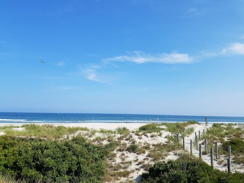 The Cape May National Wildlife Refuge Connection