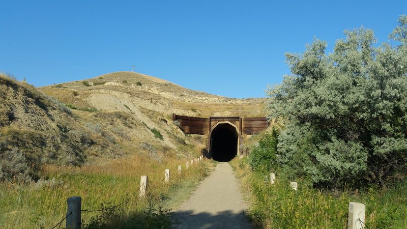 The Cartwright Trail: Where the Hike Begins and the Views Open Up