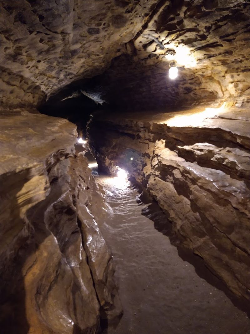 The Cave That Started It All