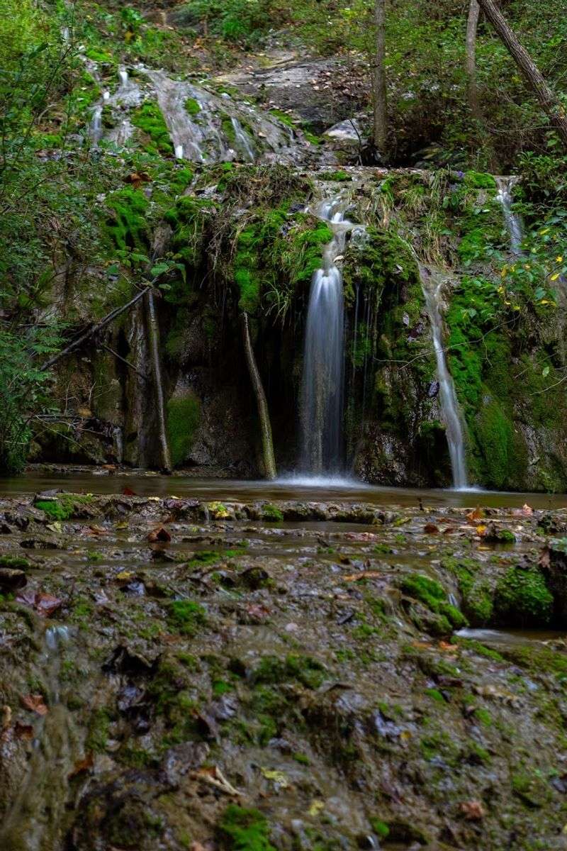 The Cedar Creek Trail and Its Surprisingly Peaceful Magic