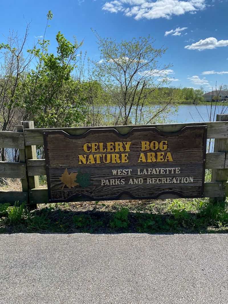 The Celery Bog Nature Area