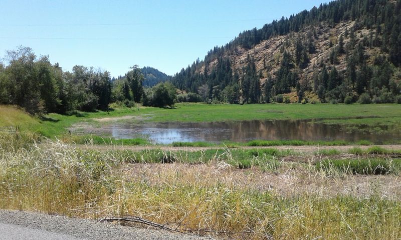 The Chain Lakes Region: Fifteen Lakes and a World of Wetland Life