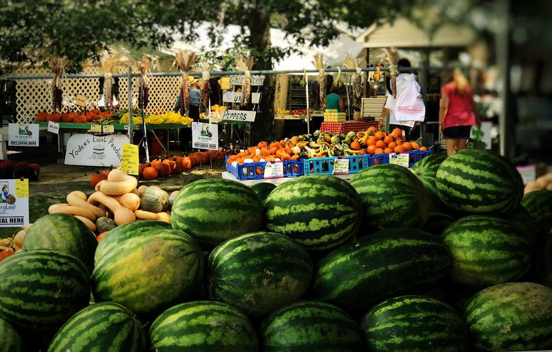 The Charm of an Amish Community Market in Southern Maryland