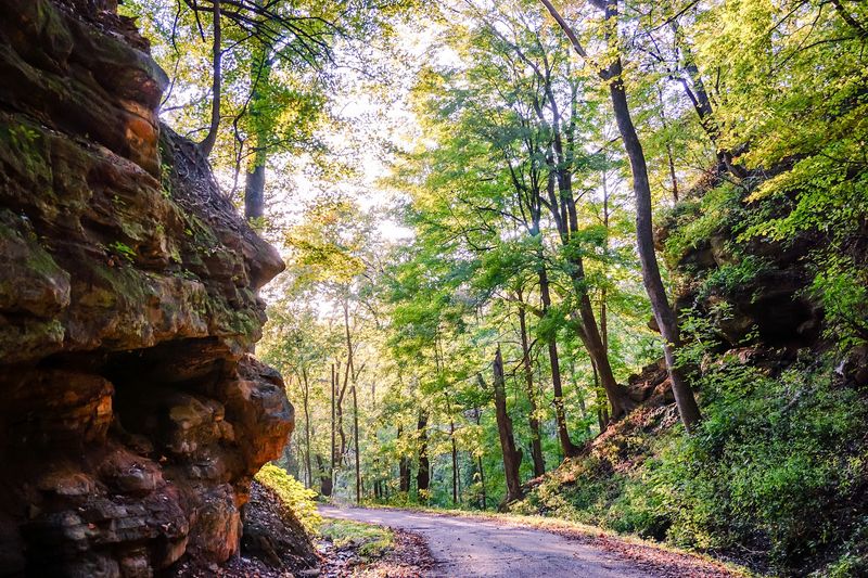 The Chautauqua Legacy and the Annual Merom Bluff Festival