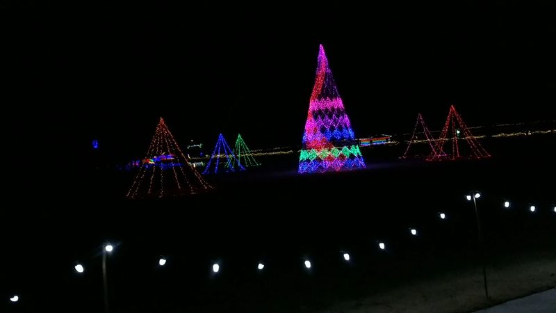 The Christmas Light Display Transforms the Park Each Winter