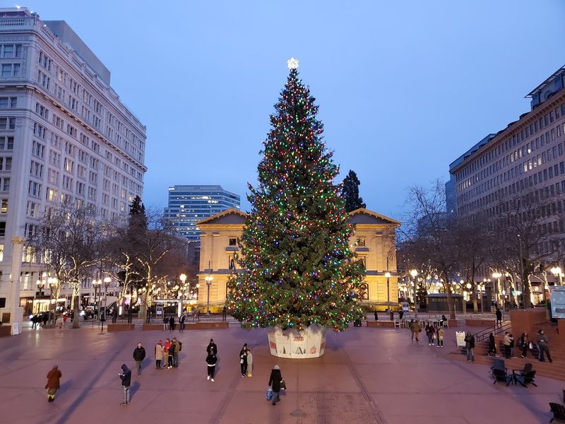The Christmas Tree and Holiday Atmosphere The Christmas Tree and Holiday Atmosphere