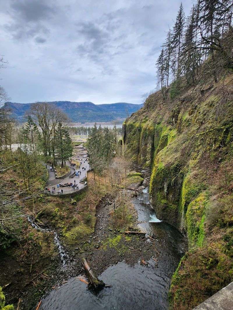 The Columbia River Gorge Setting