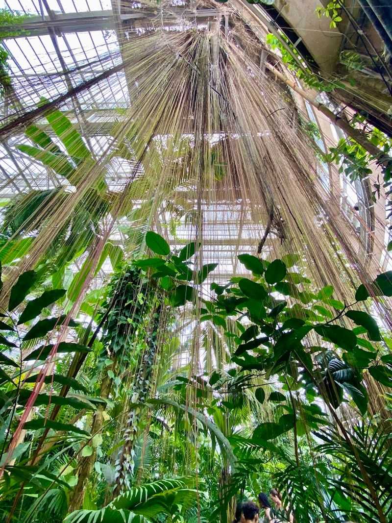 The Conservatory Feels Like Another Climate