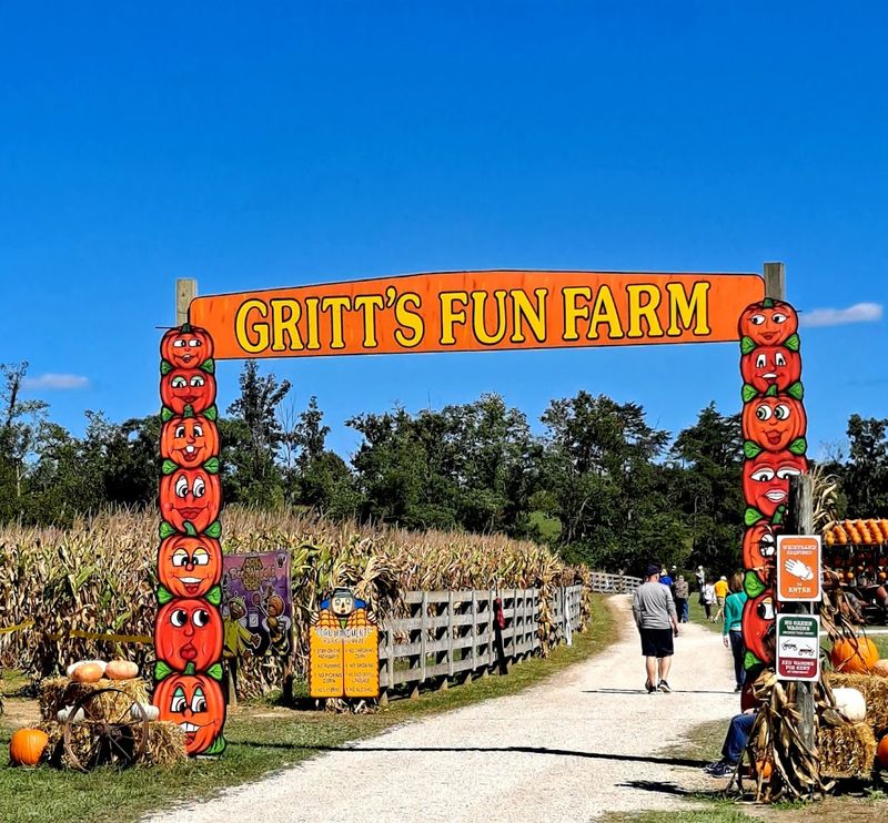 The Corn Maze Adventure Worth Getting Lost In