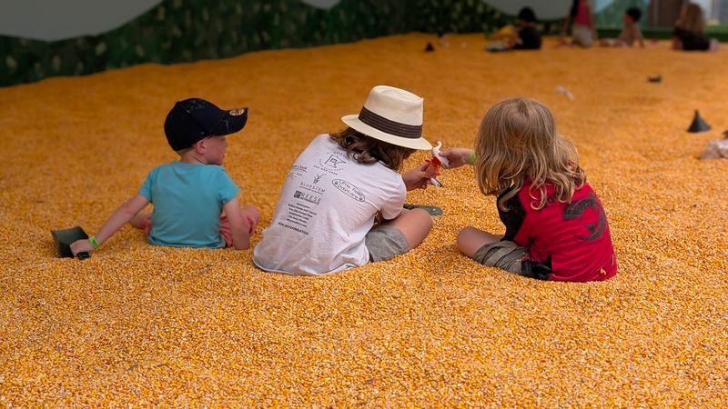 The Corn Pit and Sensory Play Area Kids Go Wild For