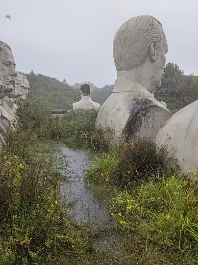 The Creepy, Cinematic Atmosphere of the Overgrown Field