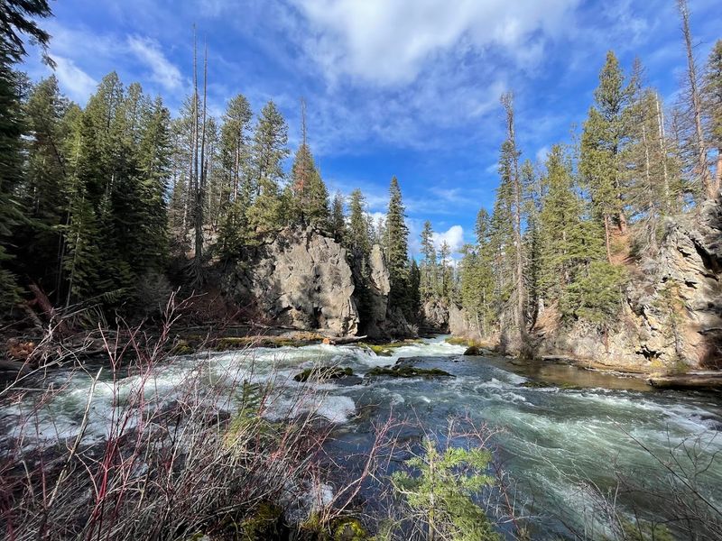 The Deschutes River: A Constant, Roaring Companion