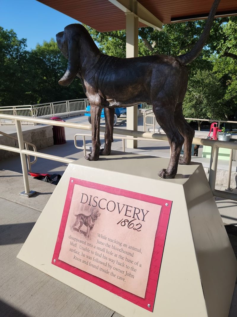 The Discovery Story Behind the Cave The Discovery Story Behind the Cave