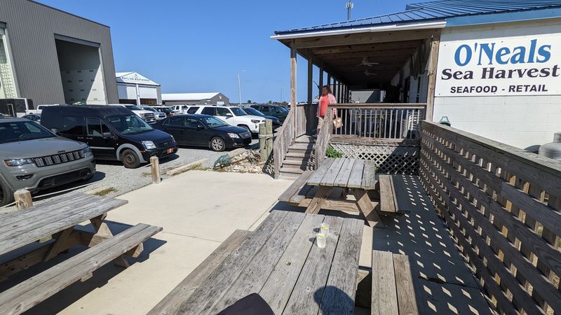 The Dockside Energy Is Real