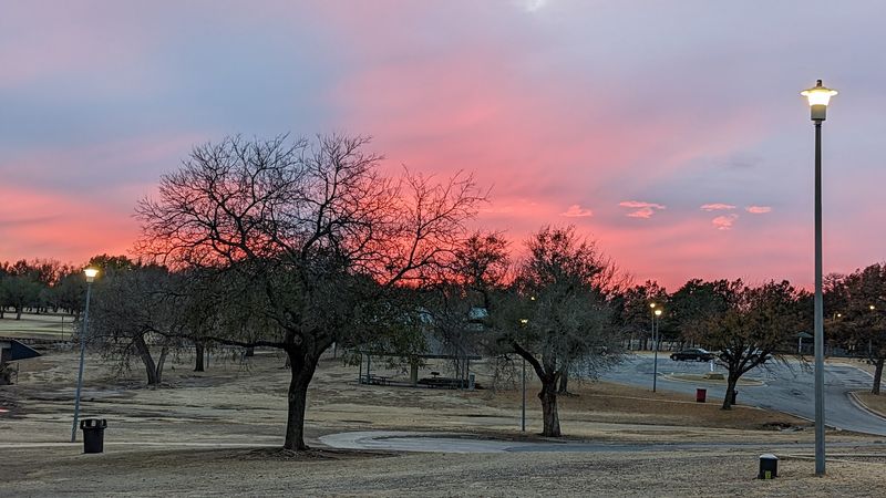 The Dog Park, Trails, and Green Space That Tie It All Together The Dog Park, Trails, and Green Space That Tie It All Together