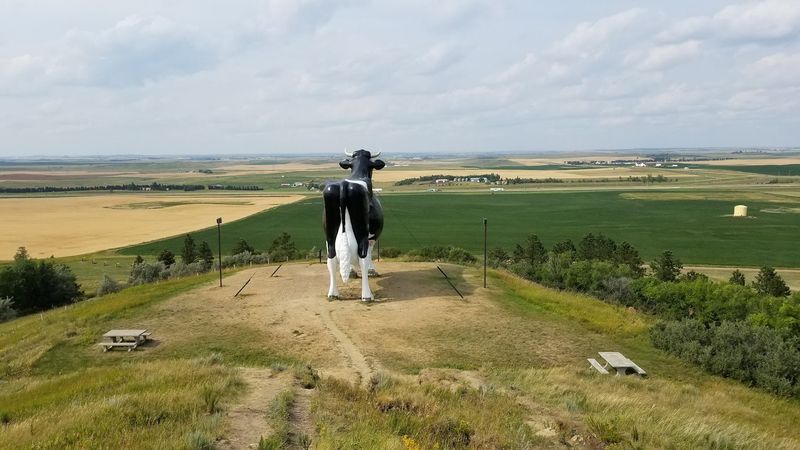 The Drive Up School Hill Is Part of the Experience