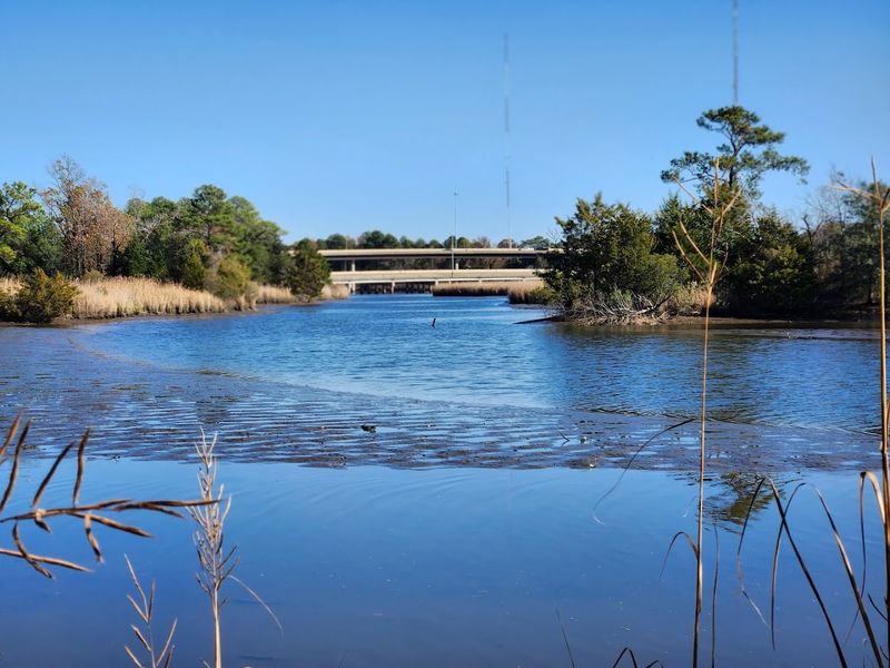 The Duck Pond and Kayak Launch Nobody Told You About