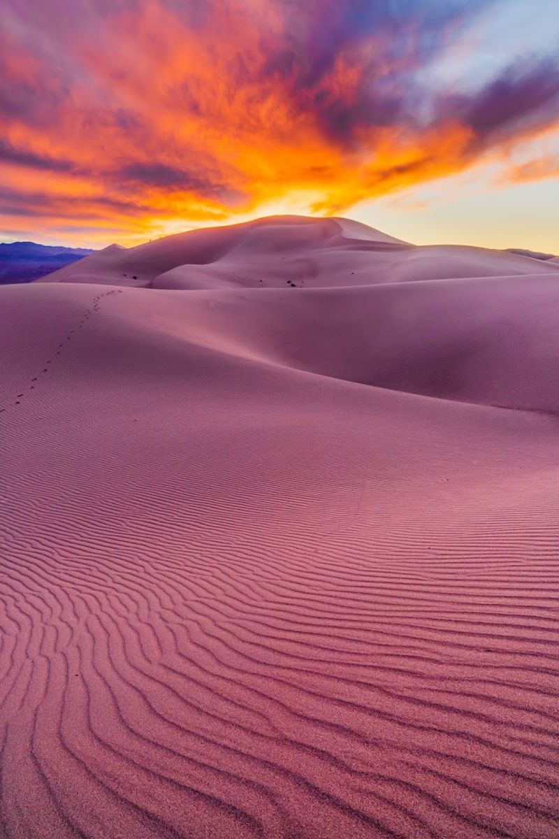 The Dunes Themselves Are Something Else The Dunes Themselves Are Something Else