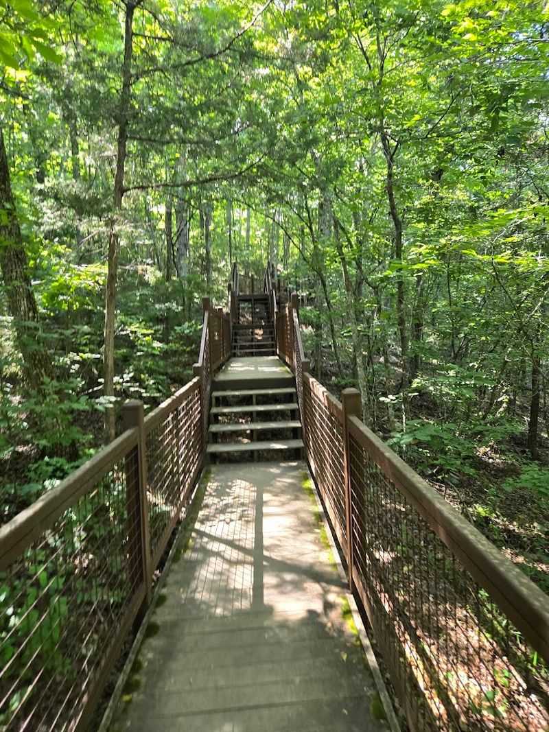 The Easy Hike Down to the Water