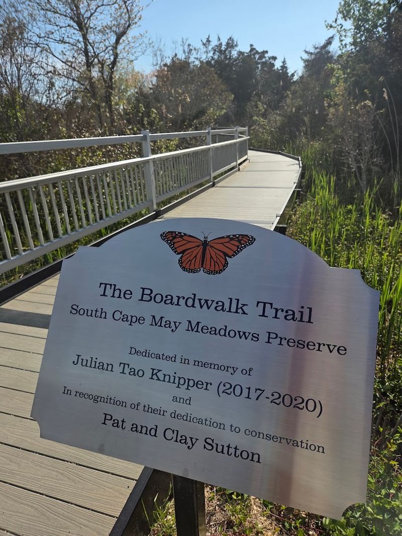The Elevated Boardwalk Through the Marsh