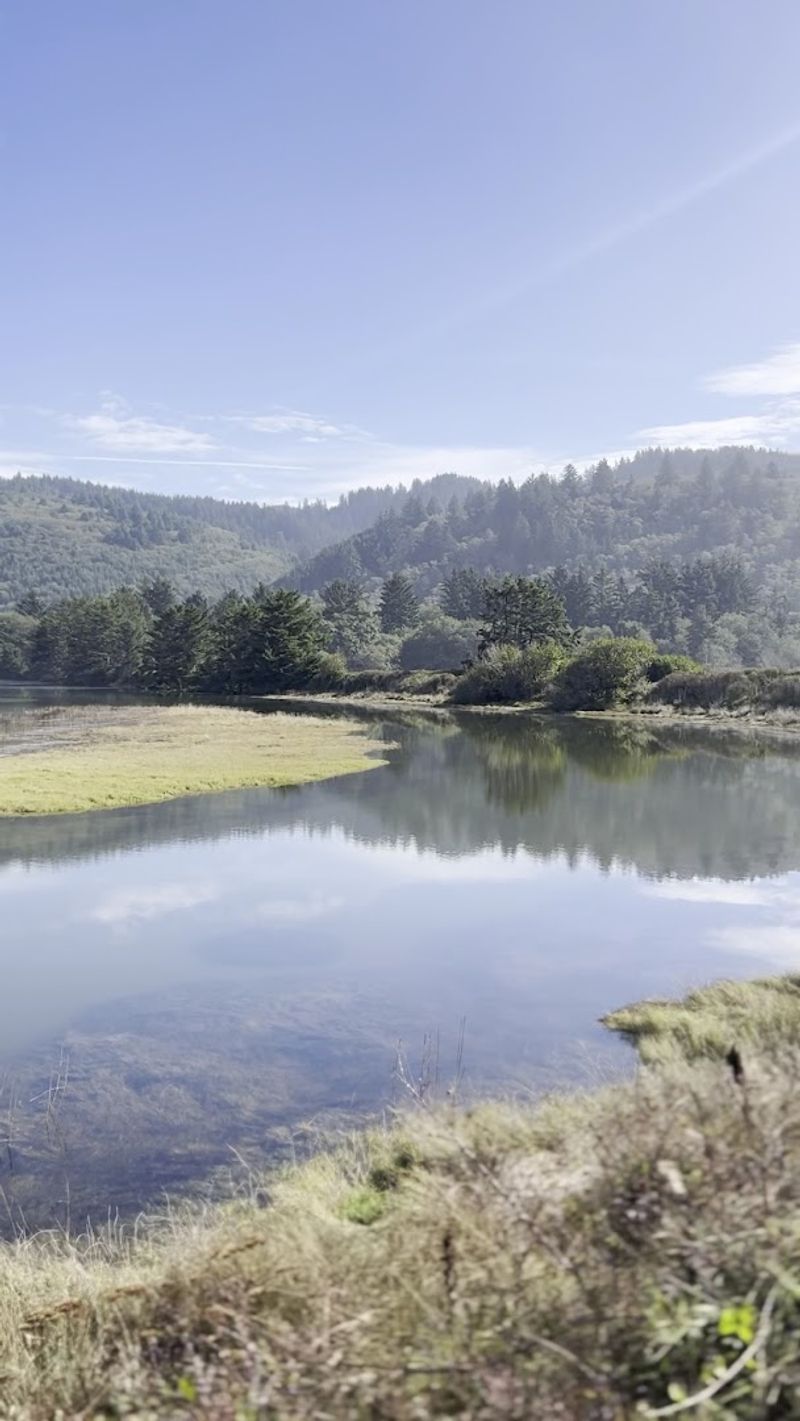 The Estuary That Changes Everything The Estuary That Changes Everything