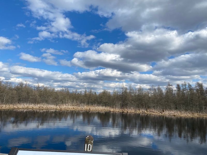 The Eye of the Bog and Its Five Floating Zones