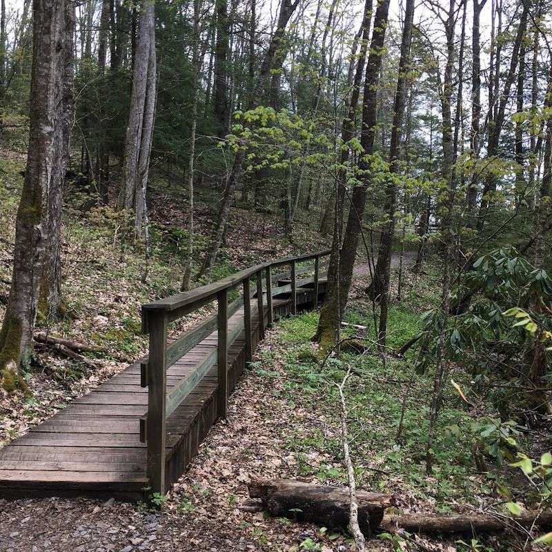The Falls Trail Overview