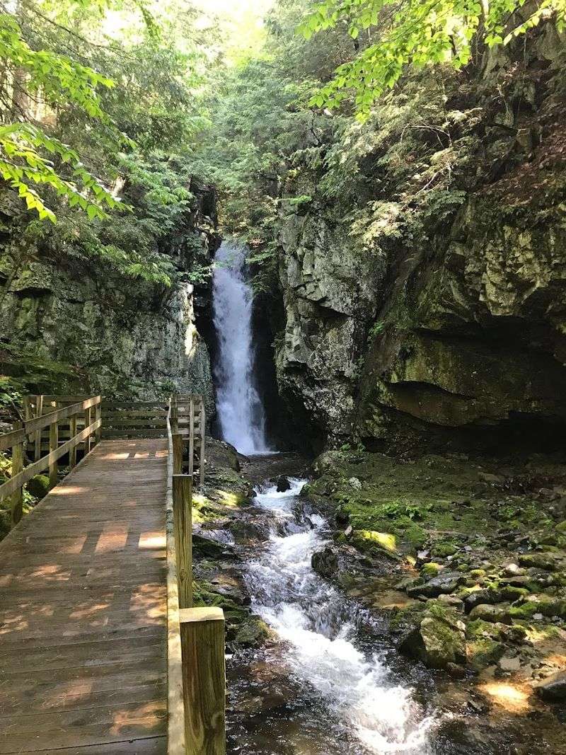 The Falls of Song and Other Waterfall Wonders on the Property The Falls of Song and Other Waterfall Wonders on the Property