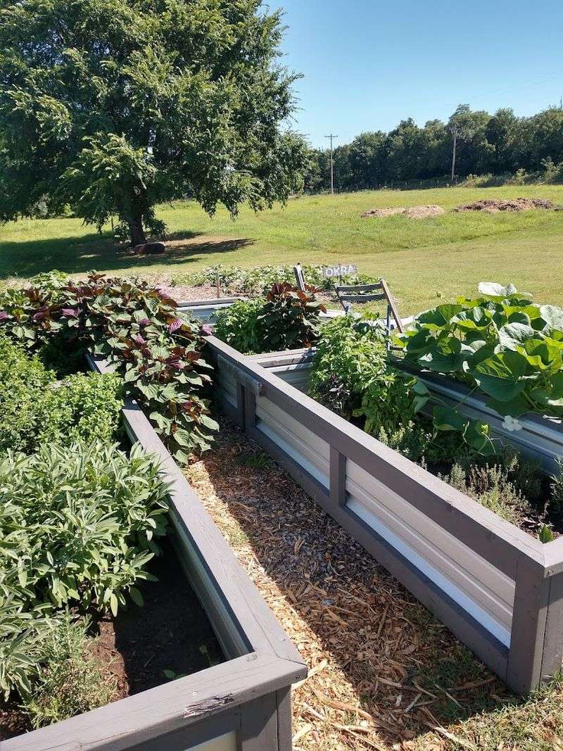 The Farm Setting Feels Like a Breath of Fresh Air